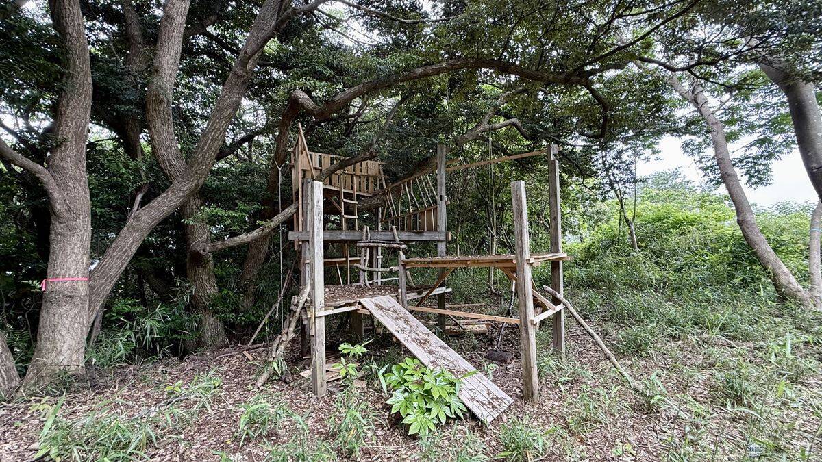 【京急の社有林に潜入】三浦半島「みうらの森林（もり）」でゴンチャが茶畑づくり!? 駅ベンチやアオリイカの産卵床へ繋がる、鉄道会社の知られざる環境保全活動