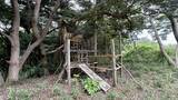 「【京急の社有林に潜入】三浦半島「みうらの森林（もり）」でゴンチャが茶畑づくり!? 駅ベンチやアオリイカの産卵床へ繋がる、鉄道会社の知られざる環境保全活動」の画像11