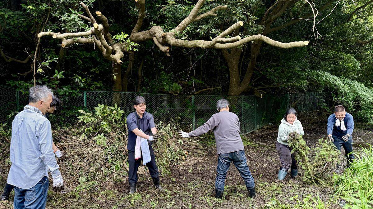 【京急の社有林に潜入】三浦半島「みうらの森林（もり）」でゴンチャが茶畑づくり!? 駅ベンチやアオリイカの産卵床へ繋がる、鉄道会社の知られざる環境保全活動