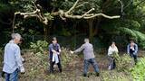 「【京急の社有林に潜入】三浦半島「みうらの森林（もり）」でゴンチャが茶畑づくり!? 駅ベンチやアオリイカの産卵床へ繋がる、鉄道会社の知られざる環境保全活動」の画像18