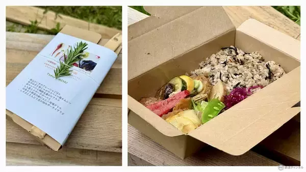 「【京急の社有林に潜入】三浦半島「みうらの森林（もり）」でゴンチャが茶畑づくり!? 駅ベンチやアオリイカの産卵床へ繋がる、鉄道会社の知られざる環境保全活動」の画像