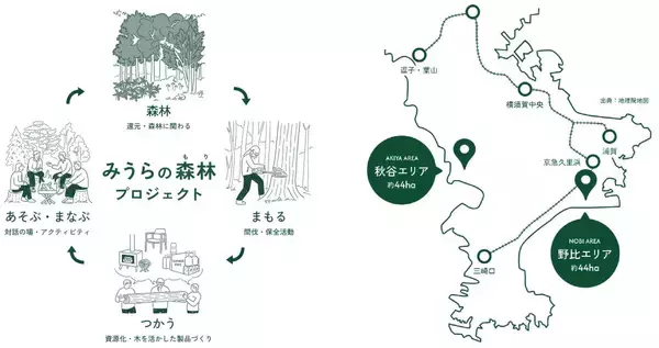 「【京急の社有林に潜入】三浦半島「みうらの森林（もり）」でゴンチャが茶畑づくり!? 駅ベンチやアオリイカの産卵床へ繋がる、鉄道会社の知られざる環境保全活動」の画像