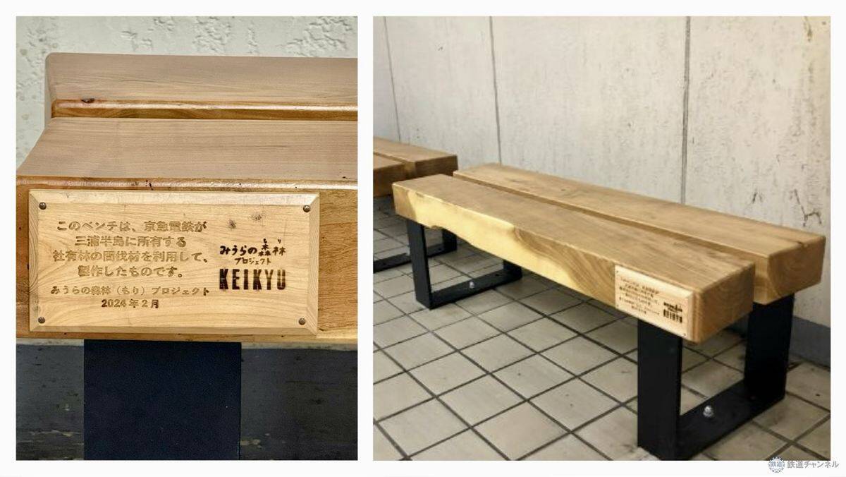 【京急の社有林に潜入】三浦半島「みうらの森林（もり）」でゴンチャが茶畑づくり!? 駅ベンチやアオリイカの産卵床へ繋がる、鉄道会社の知られざる環境保全活動