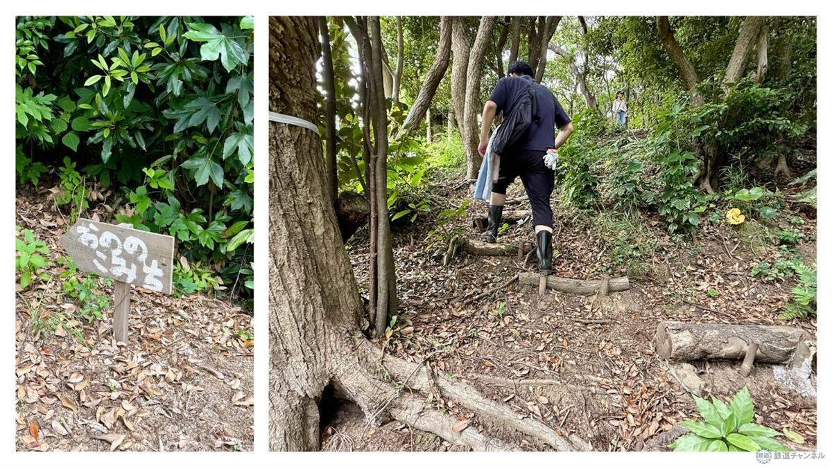 【京急の社有林に潜入】三浦半島「みうらの森林（もり）」でゴンチャが茶畑づくり!? 駅ベンチやアオリイカの産卵床へ繋がる、鉄道会社の知られざる環境保全活動