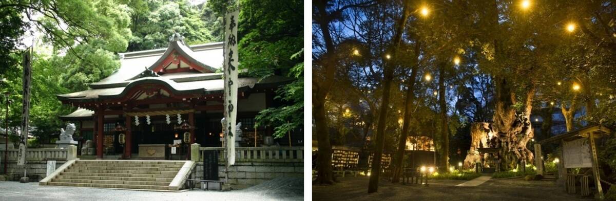 GW明けは50％OFFの特急「踊り子」で熱海リトリート旅へ！ えきねっと限定「トク割スペシャル28」でおトクに整う平日大人旅