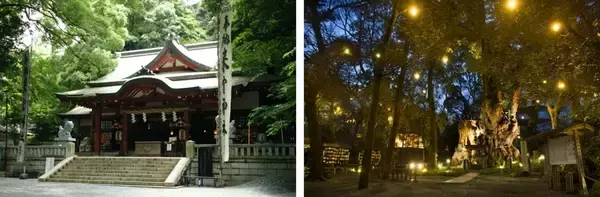 「GW明けは50％OFFの特急「踊り子」で熱海リトリート旅へ！ えきねっと限定「トク割スペシャル28」でおトクに整う平日大人旅」の画像