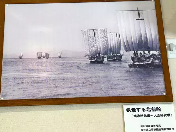 「福井･小浜観光！倉庫から奇跡の復活をした芝居小屋＆鯖街道の起点へ！若狭小浜お魚センターでBBQ、老舗お酢店ソフトなど歴史＆グルメ散歩」の画像