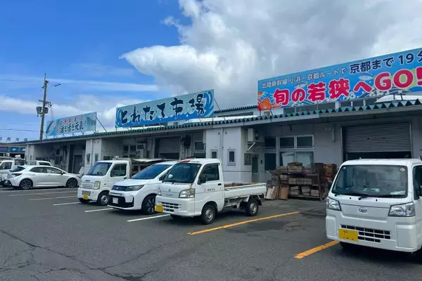「福井･小浜観光！倉庫から奇跡の復活をした芝居小屋＆鯖街道の起点へ！若狭小浜お魚センターでBBQ、老舗お酢店ソフトなど歴史＆グルメ散歩」の画像