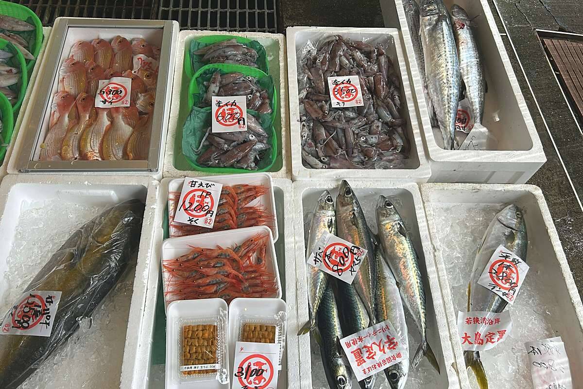 福井･小浜観光！倉庫から奇跡の復活をした芝居小屋＆鯖街道の起点へ！若狭小浜お魚センターでBBQ、老舗お酢店ソフトなど歴史＆グルメ散歩