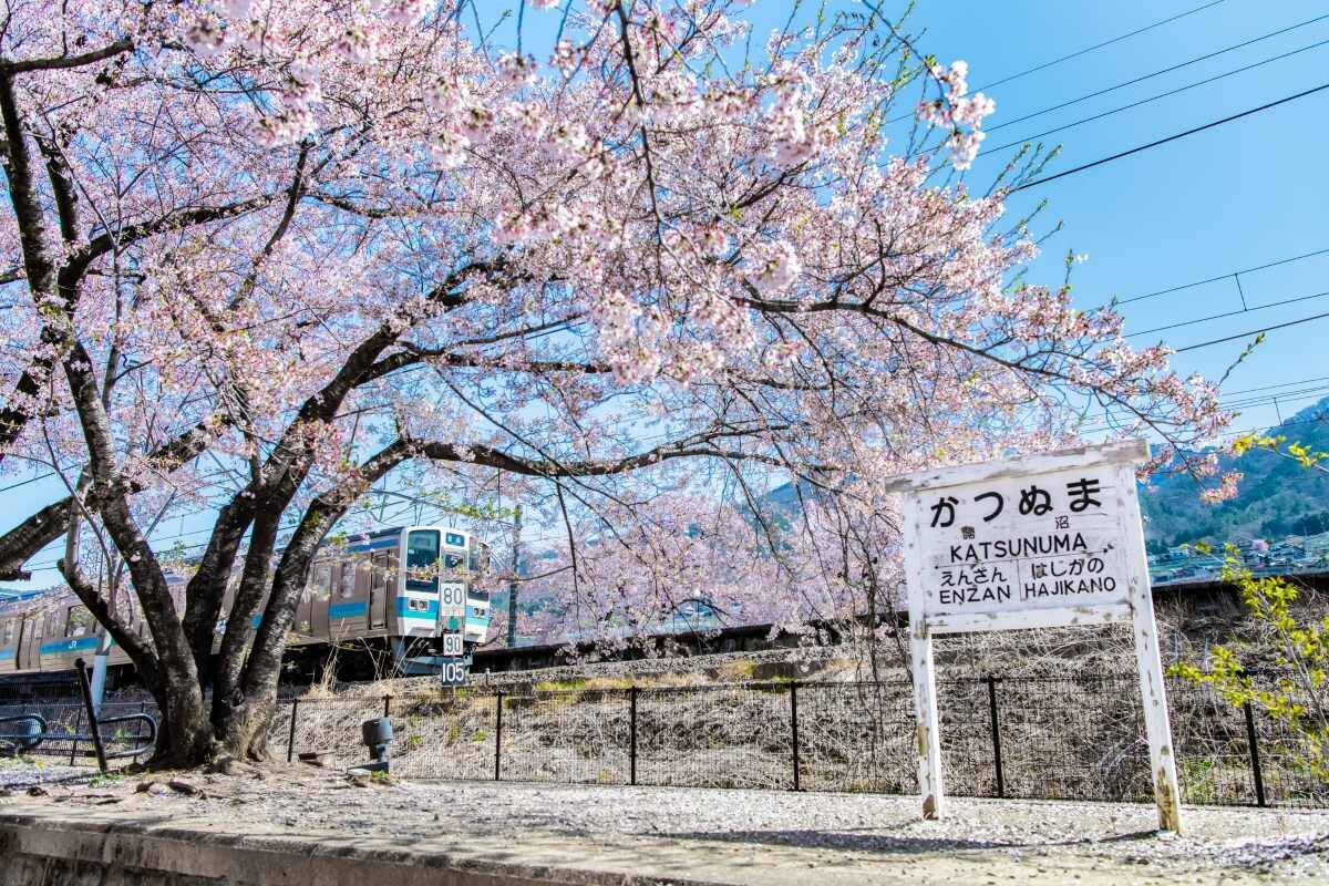 中央線・勝沼ぶどう郷駅がリニューアルへ！ 構内にワイナリー案内所＆カフェが2026年度中に誕生、山梨ワイン旅の玄関口に進化