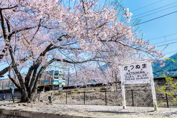 「中央線・勝沼ぶどう郷駅がリニューアルへ！ 構内にワイナリー案内所＆カフェが2026年度中に誕生、山梨ワイン旅の玄関口に進化」の画像