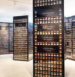 「9/1～9/10 ＠渋谷 マジック：ザ・ギャザリング 30th ANNIVERSARY CELEBRATION TOKYO で 5000枚以上のカードを展示！ 天野喜孝＆原哲夫の超貴重カードアートや秘蔵資料なども世界初公開！」の画像1