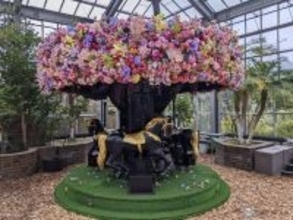 秋バラは今が見ごろ　八千代市の京成バラ園で「ローズフルバケーション」【お出かけ情報】