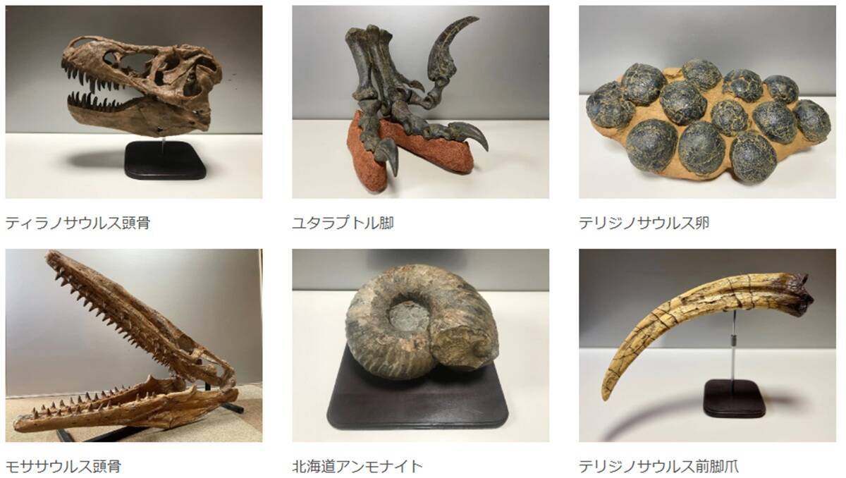 2026GWは八王子で恐竜体験「東京たま大恐竜博」開催！実物大ティラノなど全12体の恐竜が躍動する没入型イベント 夜のクラフトビール企画も