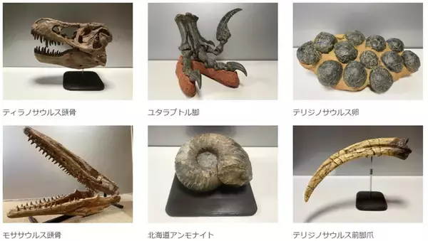 「2026GWは八王子で恐竜体験「東京たま大恐竜博」開催！実物大ティラノなど全12体の恐竜が躍動する没入型イベント 夜のクラフトビール企画も」の画像