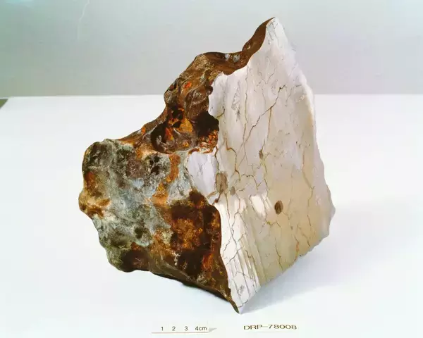 「南極観測70周年「大南極展」日本科学未来館で7/1～開催！ お台場でホワイトアウト体験？ 火星の隕石や数万年前の氷に触れる極地ツアーへ」の画像