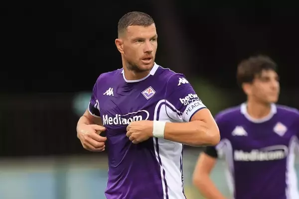 シャルケがボスニアFWジェコを獲得　かつてマンチェスター・シティやインテルでプレイ