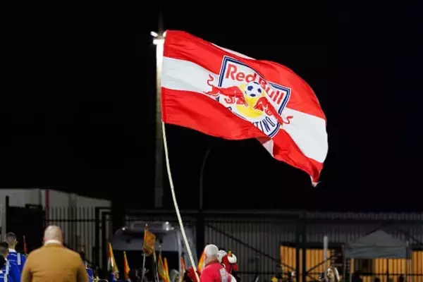 男子のゲームを女性主審が担当すべきではない？　ブラジル人選手の“性差別発言”が大問題に「このようなゲームを処理する能力は無い」