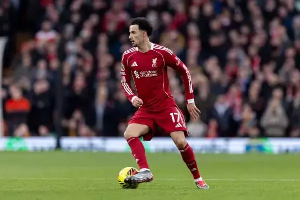 トッテナムはさらなる中盤補強に熱心!?　リヴァプールの生え抜きC・ジョーンズ獲得に興味か