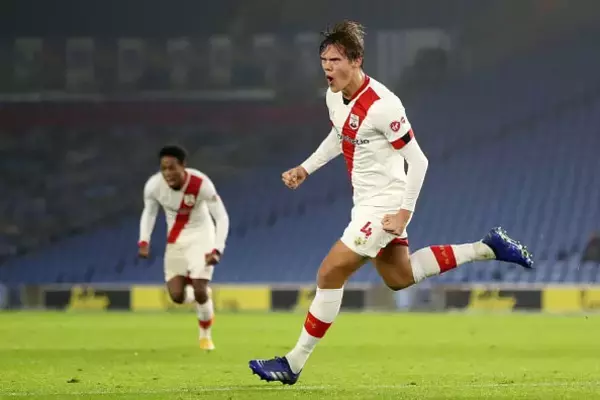 199cmと190cmの“超ハイタワー”コンビ　プレミアで巻き起こる快進撃