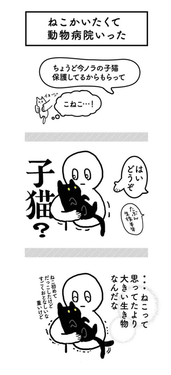 ふしぎな生き物やわ 初めて猫を飼い始めたときのエピソードに和む 19年3月14日 エキサイトニュース