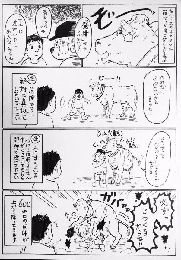 鳴いてる牛に近づくとどうなるか 酪農漫画家が 600kgの巨体が上から降ってくる と注意を促す 2019年7月9日 エキサイトニュース