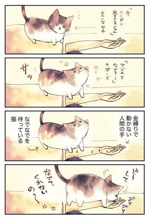 金縛りにあっている最中 猫さんが来て なでて のポーズ 怖い話なのに癒やされる 19年8月1日 エキサイトニュース