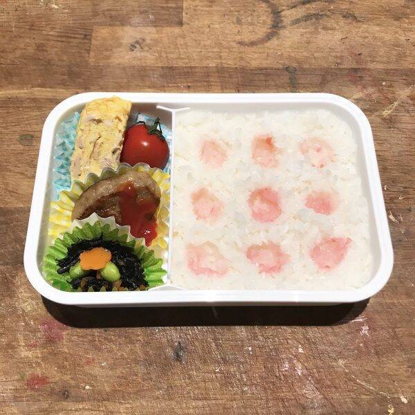 ツウにはたまらない 妹のために作った 梅干しの穴を9回も楽しめる弁当 がジワジワくる 19年10月1日 エキサイトニュース