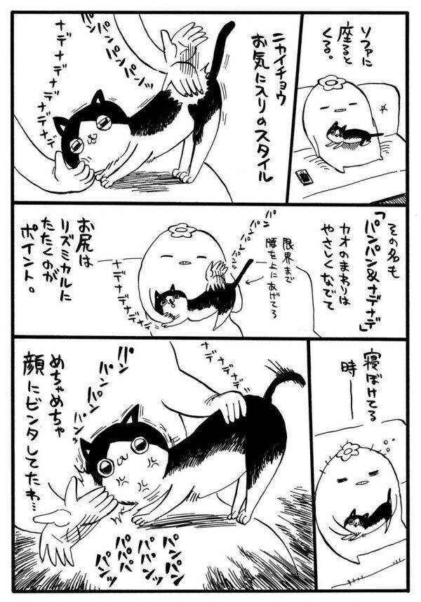 漫画 お気に入りの パンパン ナデナデ をしてるハズが 寝ぼけた飼い主の行動に猫さんがイラッ 19年10月10日 エキサイトニュース