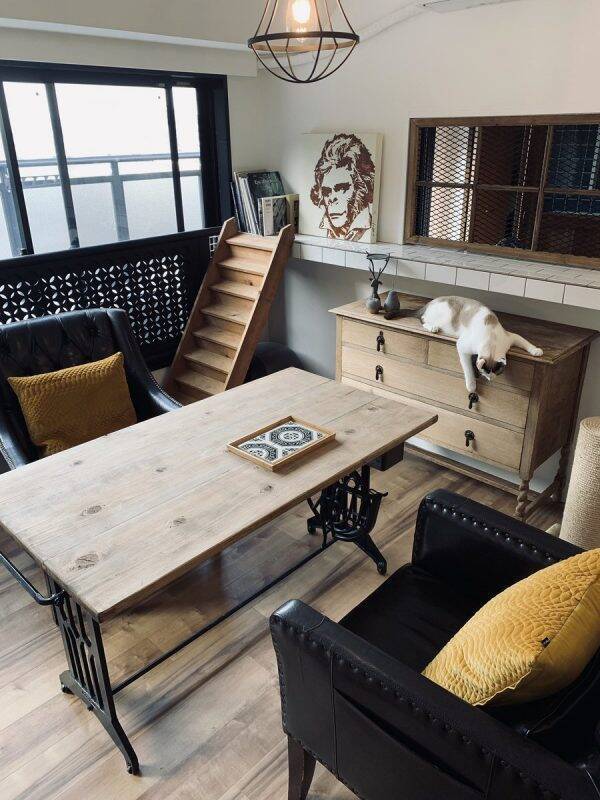 インテリア好きのクリエイターさんが 犬猫優先の努力の果て に作り上げたお部屋がオシャレ 19年11月日 エキサイトニュース