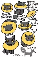 カップラーメンの容器はねこの エリザベスカラー に代用できる 15年5月27日 エキサイトニュース