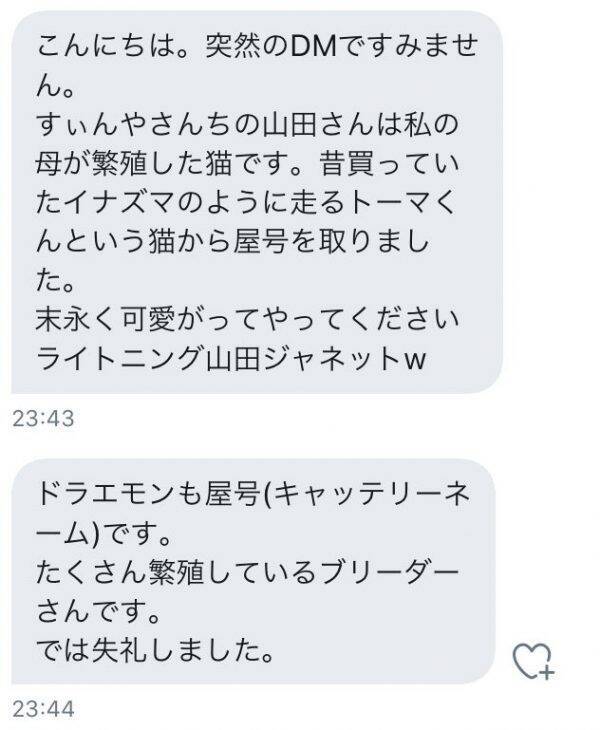 長年 山田さん と呼んでいたネコチャンの血統書を見たら本名が高貴すぎて家族一同驚く 年1月30日 エキサイトニュース