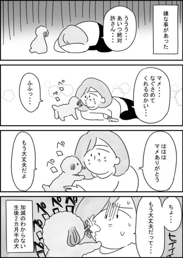 漫画 落ち込んでいる飼い主を慰めてくれるけど 秒でオチをつけてくるワンちゃんにじわじわくる 年2月12日 エキサイトニュース