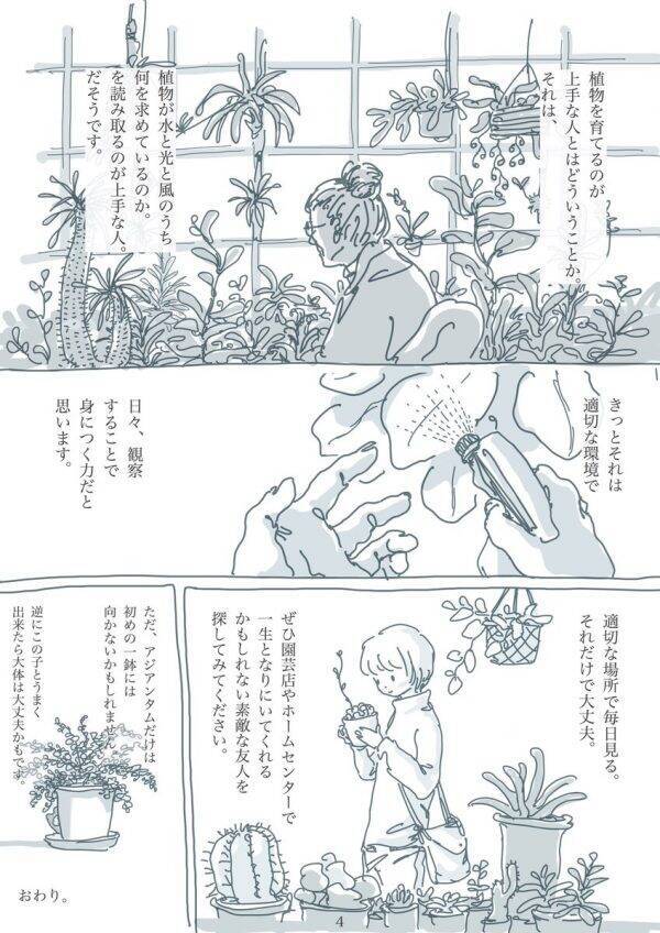 園芸家が漫画で教える 観葉植物を上手に育てる2つのポイント が意外とシンプルだった 年3月19日 エキサイトニュース