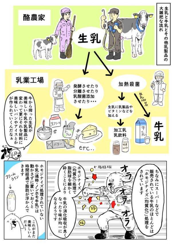 生乳 と 牛乳 何が違う 酪農従業員が漫画で教える解説がわかりやすい 年3月26日 エキサイトニュース