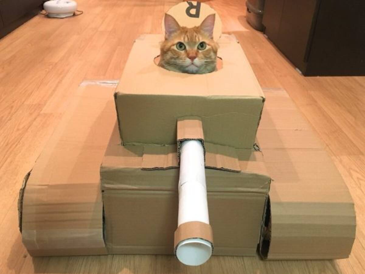 段ボールで作った 猫戦車 に乗り込む猫さんの表情がキリッとしててかっこいい 年5月7日 エキサイトニュース