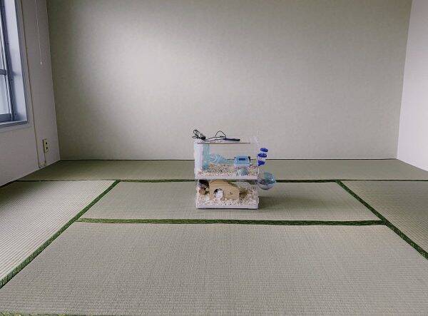 完全に どうぶつの森 1日目 新居に家具が届かずハムスターだけがいる部屋の 住民 に話を聞いた 年6月2日 エキサイトニュース