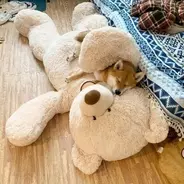 時は1999年の正月 ドリキャスが手に入って喜ぶ8歳児の日記がかわいすぎる 年7月3日 エキサイトニュース