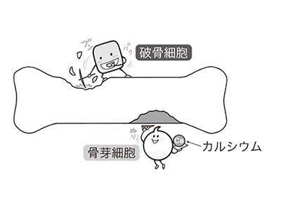 年一回投与 骨粗鬆症の最新薬とは 使えない人は 2019年4月4日 エキサイトニュース 6 8