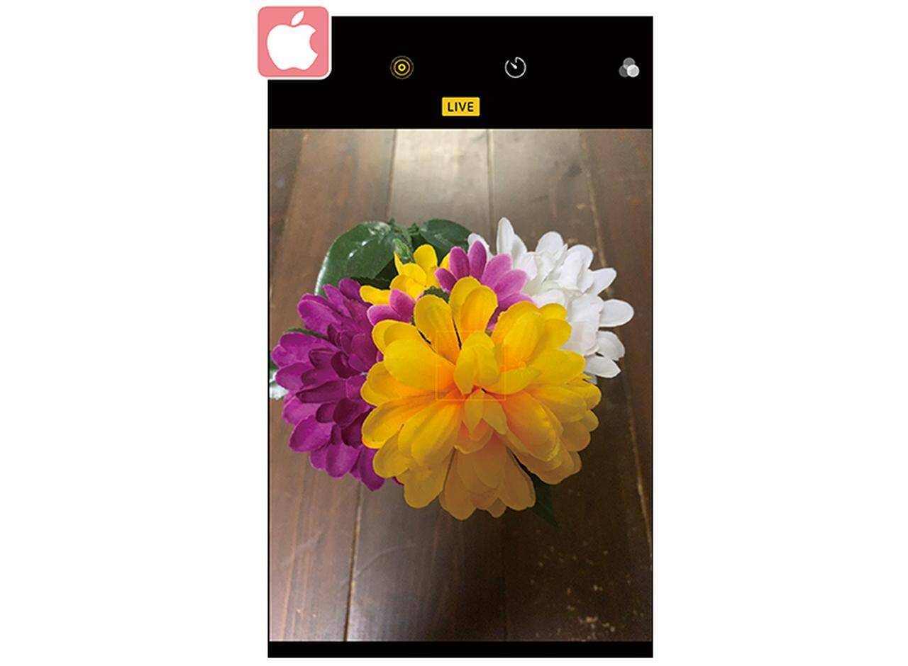 アプリ不要 Iphoneのシャッター音を極めて小さくする方法 19年4月10日 エキサイトニュース