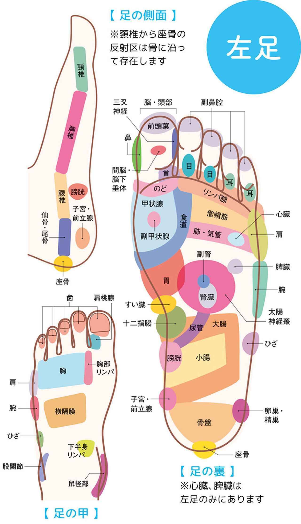 症状別のもみ方 頭痛や便秘 生理痛を改善する 足裏反射区 とは 19年6月30日 エキサイトニュース 3 8