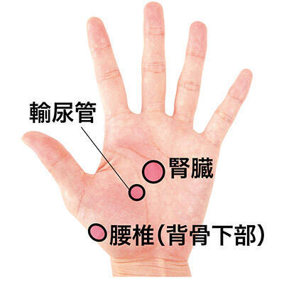 手を見てチェック ツボとは違う 反射区と全身の不調のカンケイ 2019