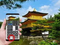 インスタで大ブレーク 全国を旅する2匹のネコがスタジオに 19年10月18日 エキサイトニュース