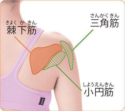 なぜ 腱鞘炎の痛みが わき をもむと軽減する理由 年3月23日 エキサイトニュース 4 5