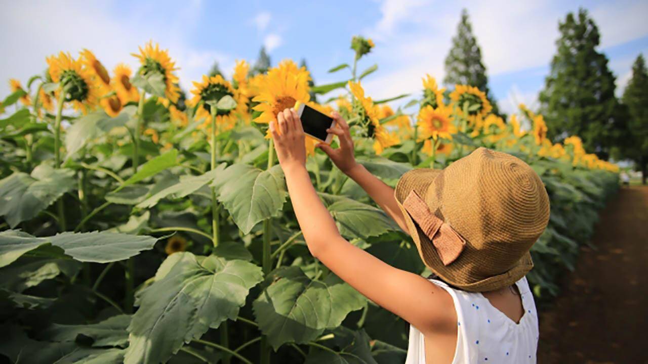 友達 家族と 画像の共有は Googleフォト が簡単 年7月15日 エキサイトニュース