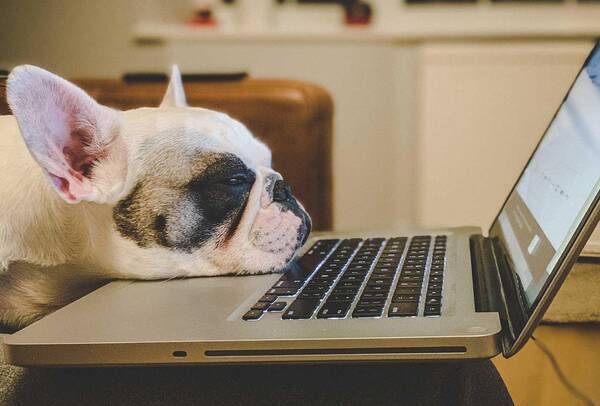 パソコン疲れに 早く買えばよかった ノートpc作業を超快適にするアイテム 年8月13日 エキサイトニュース