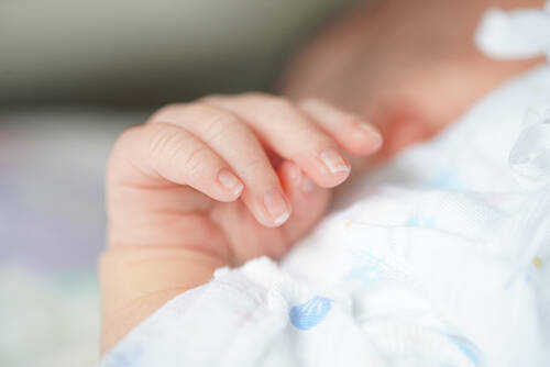 ちっちゃい爪までキレイに撮れる 赤ちゃん撮影におすすめのカメラレンズ 年10月8日 エキサイトニュース 5 11