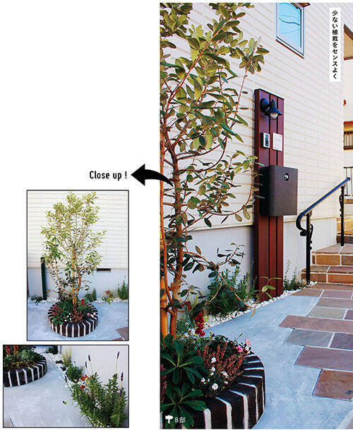 道路と庭の境目diy 道路境界をおしゃれに 通行人を元気にするおすすめの植物 ガーデニングアイデア 年11月9日 エキサイトニュース 3 6