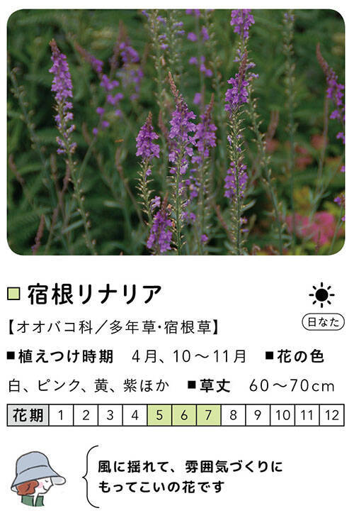 小さな庭diy ガーデニング初心者でも簡単 地植え 花壇 コンテナ おすすめの植物 樹木 草花 を紹介 年11月10日 エキサイトニュース 5 8