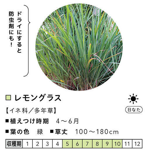 ベランダdiy ガーデニング編 初心者でもおしゃれに マンションでも狭くても大丈夫 おすすめの植物はコレ 年11月12日 エキサイトニュース 5 5